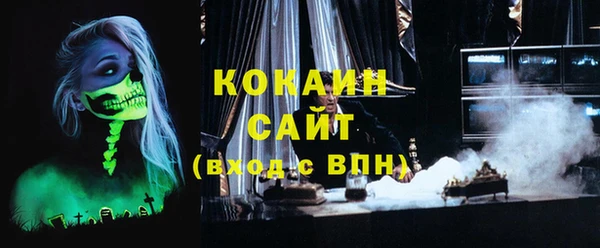 СК Алексин