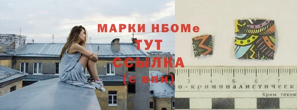сатива Алзамай
