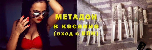 сатива Алзамай