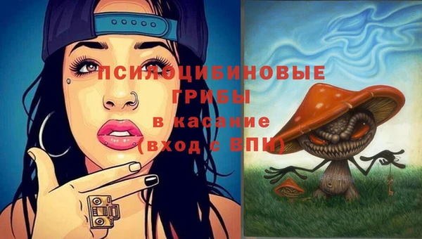 эйфоретик Алексеевка