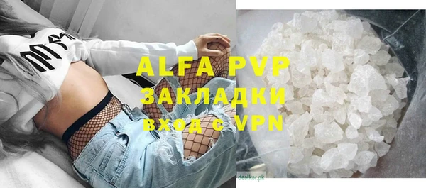 сатива Алзамай