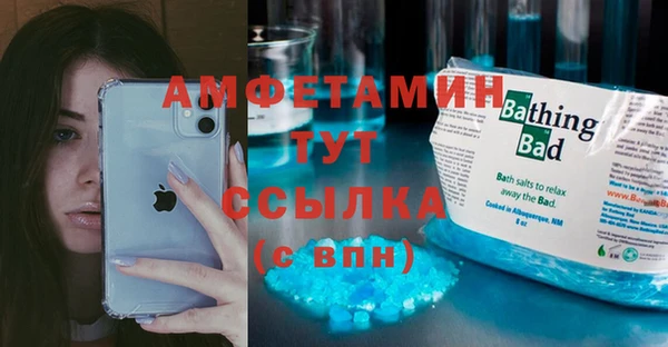 СК Алексин